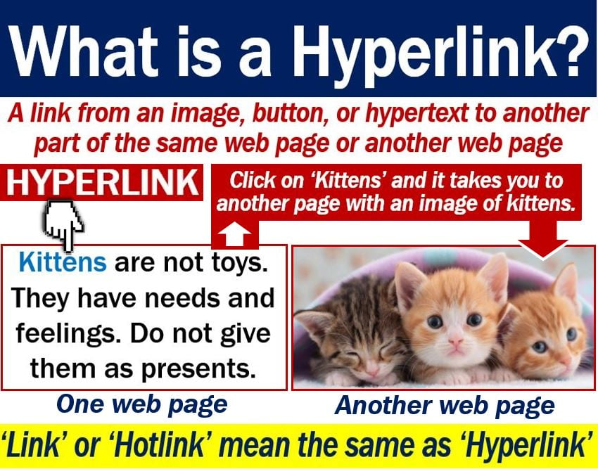 Which hyperlink take you to another part of the same web page?