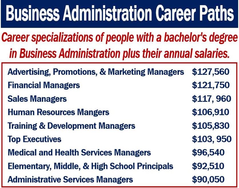 Business Administration Career Paths