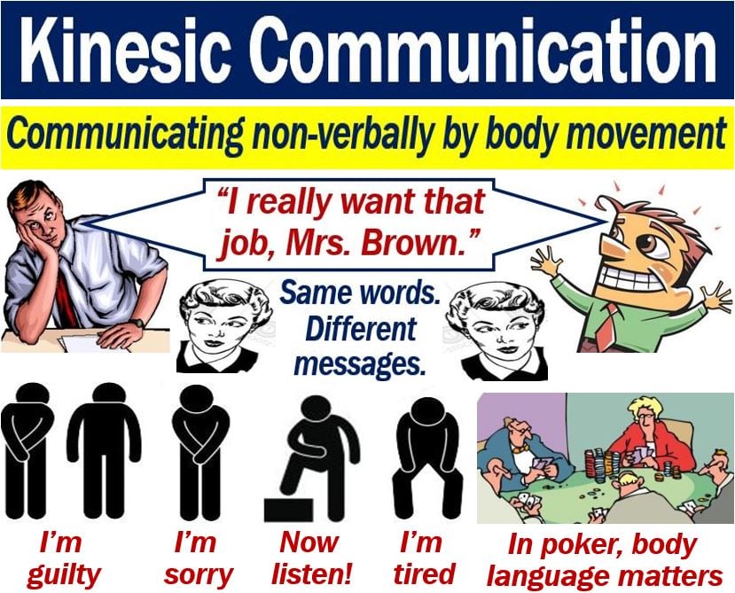 kinesics nonverbal communication