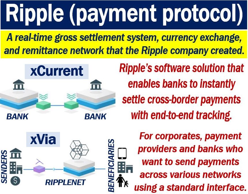 Why Choose Ripple Payments for Business Transactions