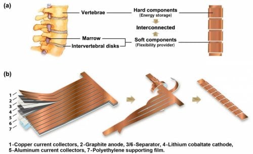 flexible lithium ion battery and human spine schematic