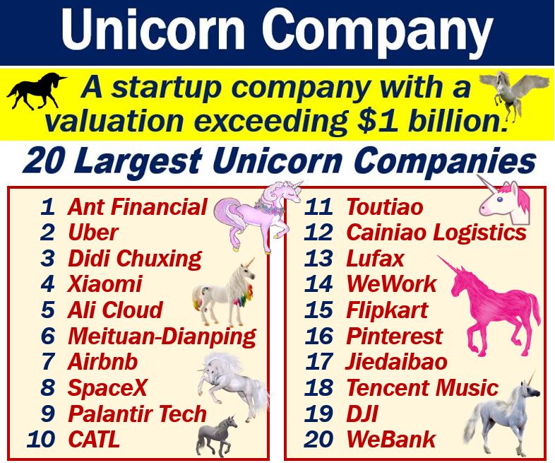 What is a unicorn company? Definition and examples - Market Business News