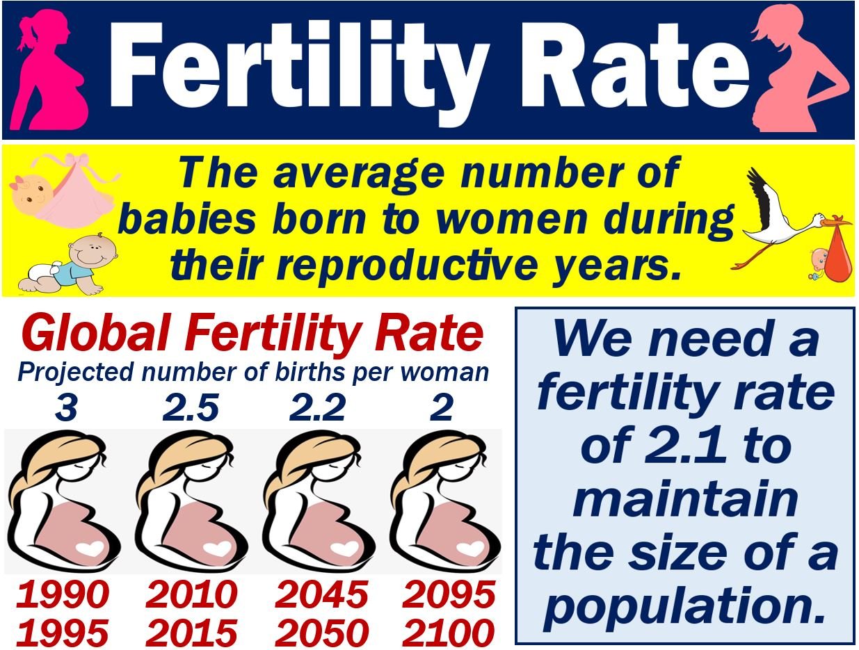 What Is Fertility Rate Definition And Examples Market Business News