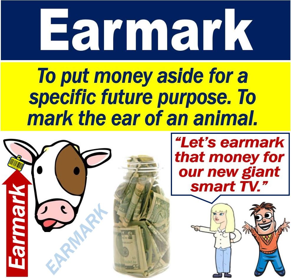 What is earmark? Definition and examples Market Business News