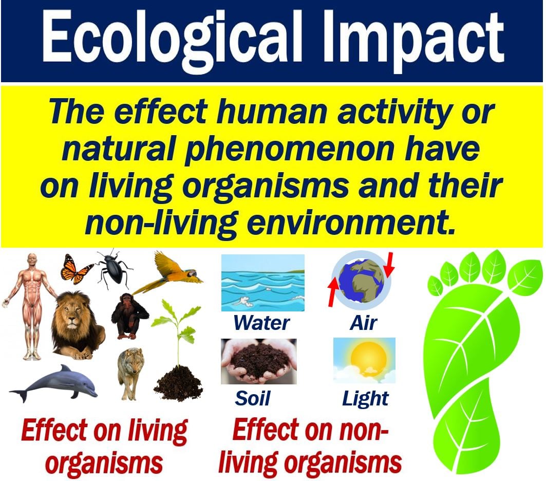 landscape definition ecology
