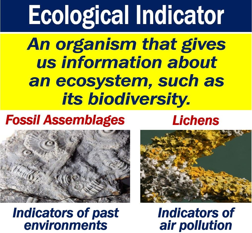 Ecological Indicator