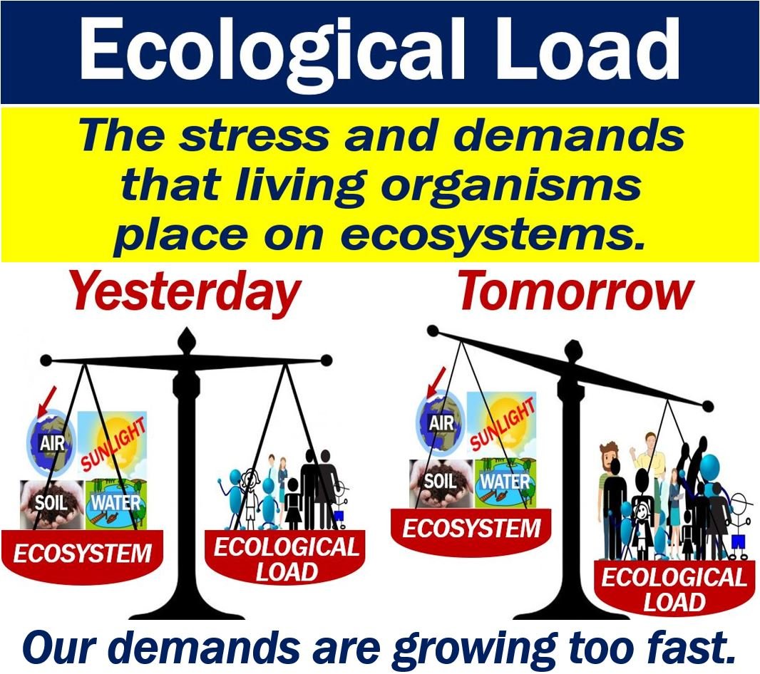 Ecological Load