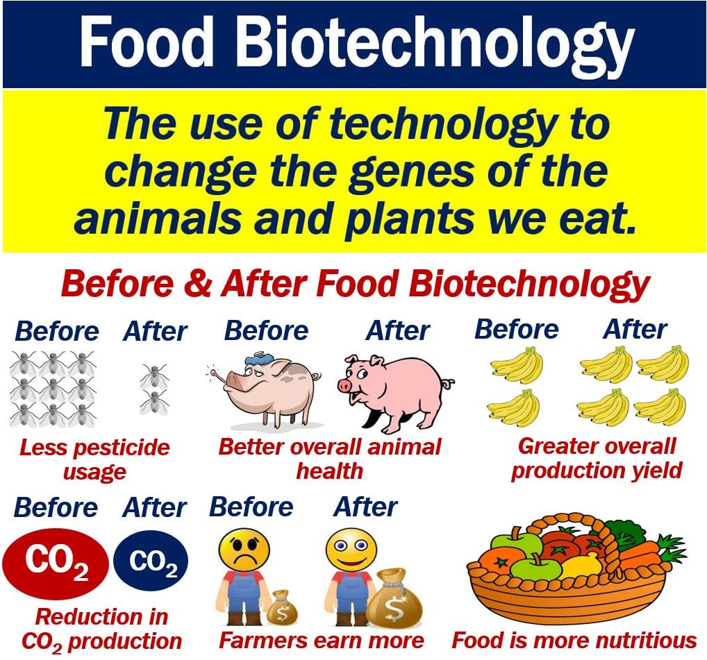 examples of biotechnology in food