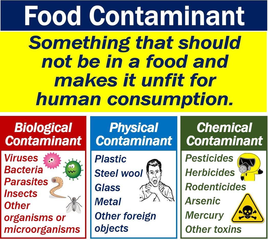 What is a food contaminant Definition and examples Market