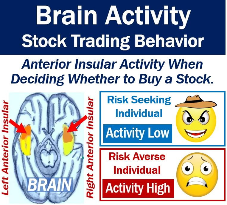 Brain activity determine stock trading behavior
