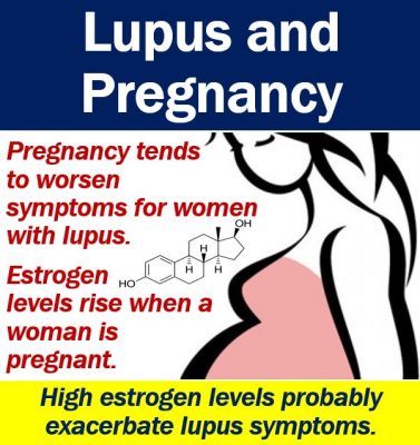 Estrogen and lupus causes