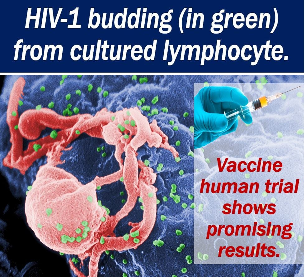 HIV-1 Vaccine