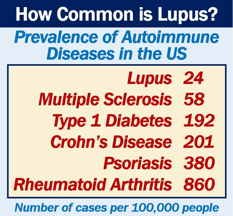 How common is lupus