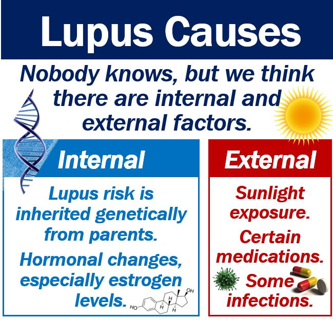 Lupus Causes - Probably A Combination Of Factors - MBN Health