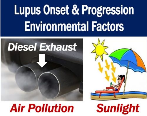 Lupus onset and progression - environmental factors