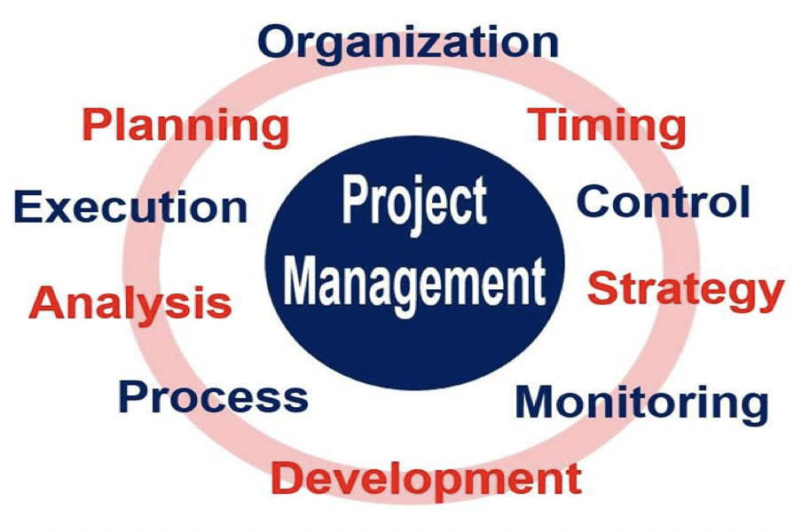 Project Management System: Definition & Example - Lesson