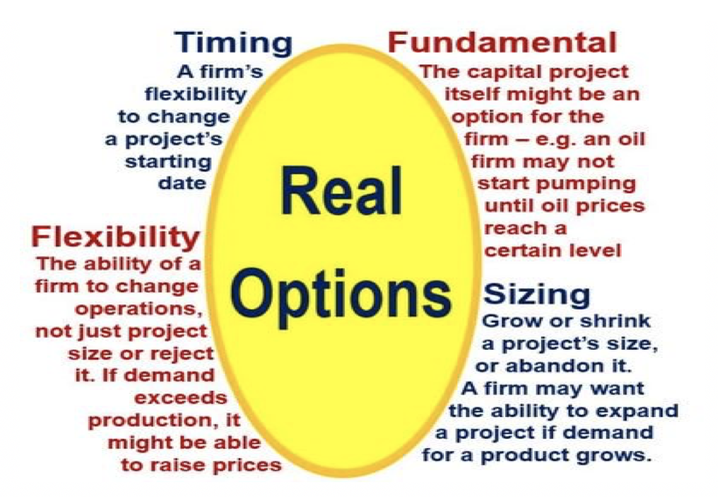 Real_Options
