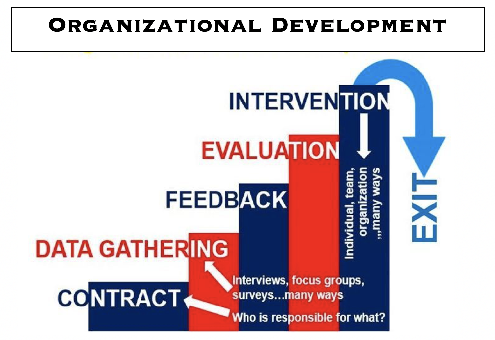 organizational_development