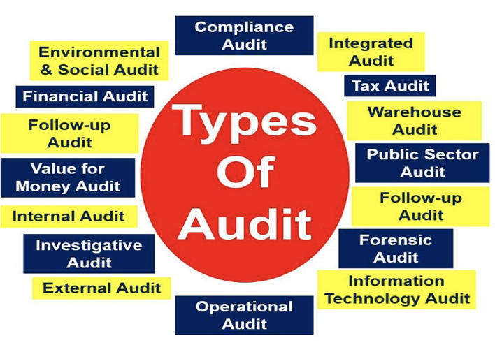 Audit - Definition And Meaning - Market Business News