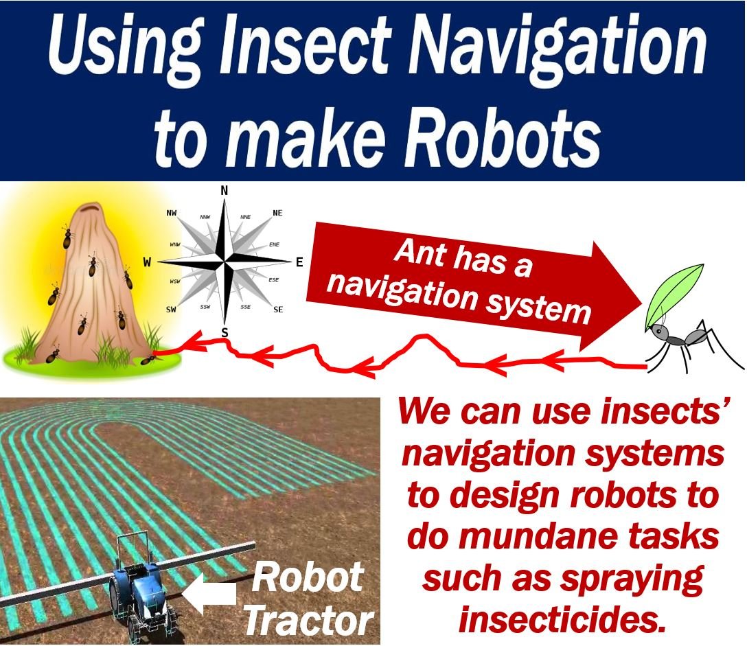 Using insect navigation to make robots