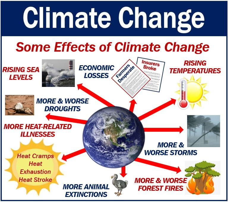 What is climate change? Definition and examples - Market Business News