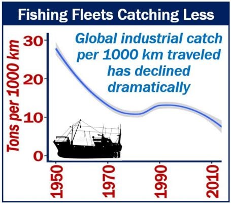 Fishing Fleets Catching Less