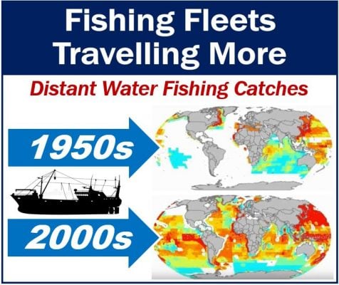 Fishing Fleets Traveling More