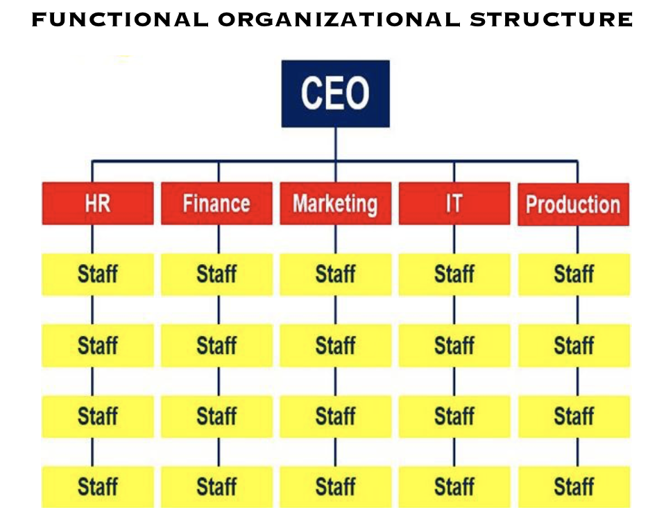 Functional_Organizational_Structure