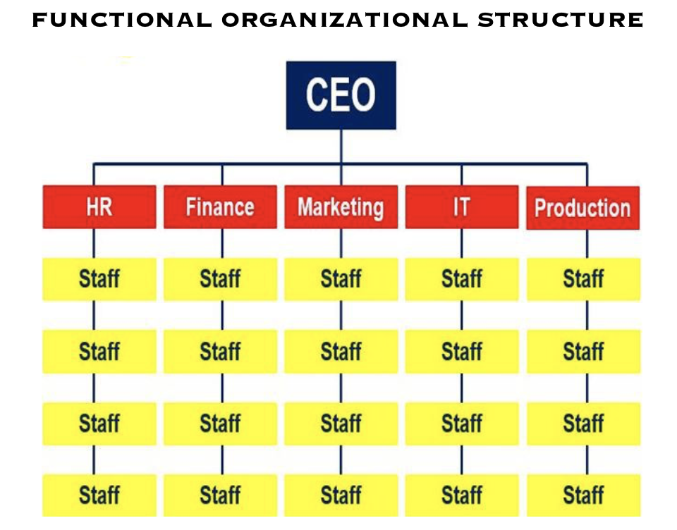 Organisational Structure