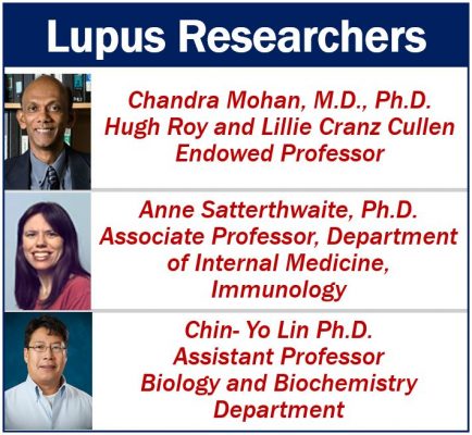 Lupus Researchers