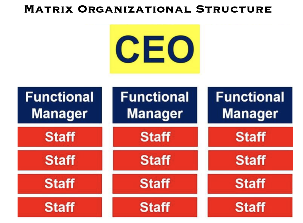 Matrix_Organizational_Structure