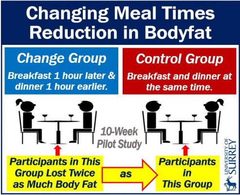 Meal times and body fat reduction