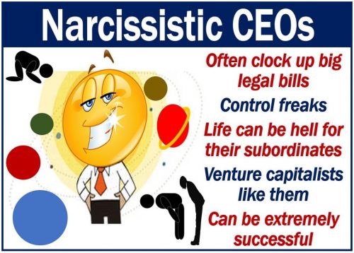 Narcissistic CEOs