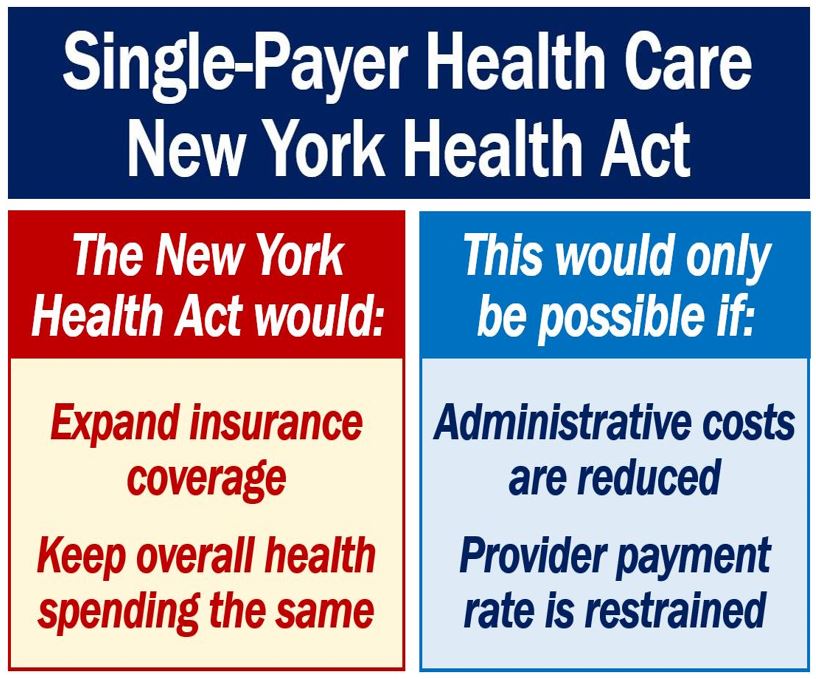 Single-Payer - key findings