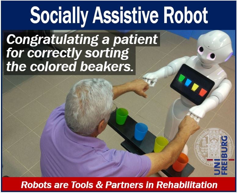 Socially Assistive Robots