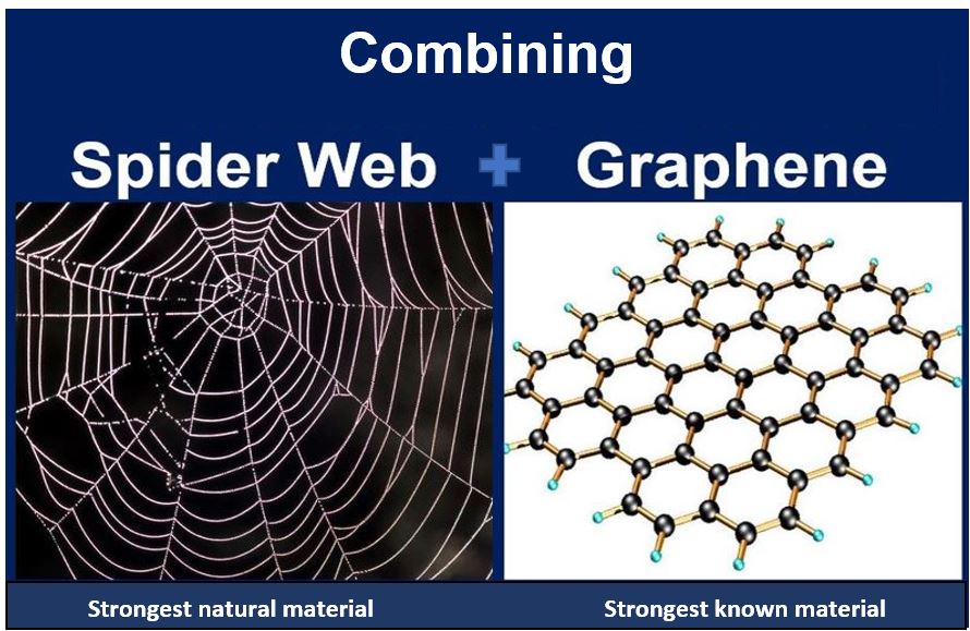 Spider Web and Graphene