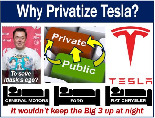 Tesla Privatization