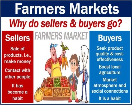 Why people go to farmers markets