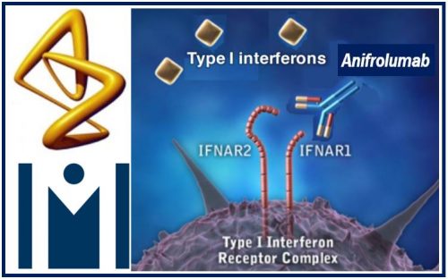 Anifrolumab