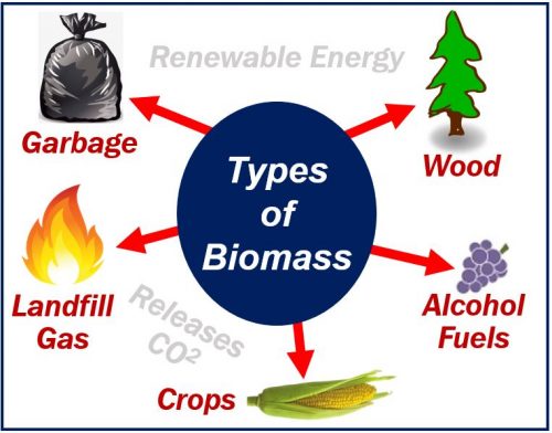 types of biomass