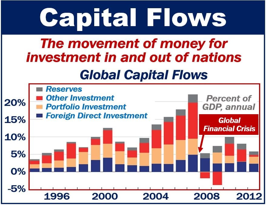 Global Capital Flows