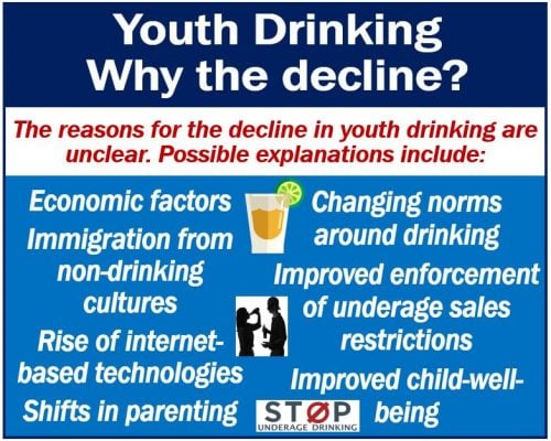 Youth drinking - explanations for the decline