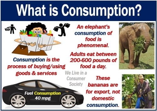 What Consumption Means