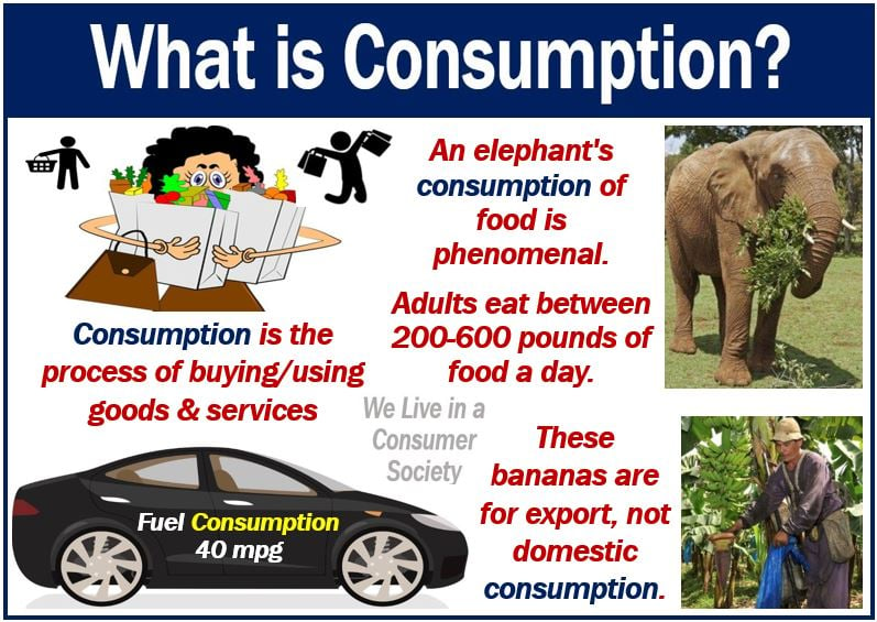 Consumption - definition and examples