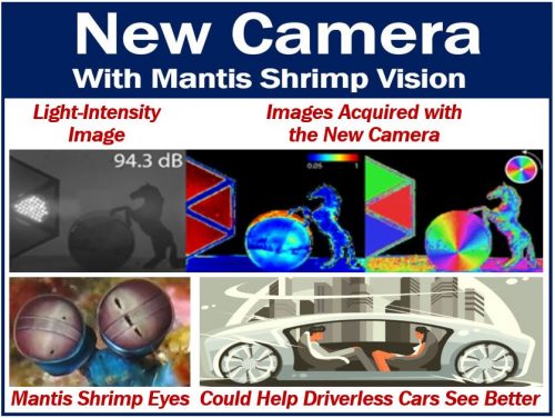 New camera may help driverless cars see better