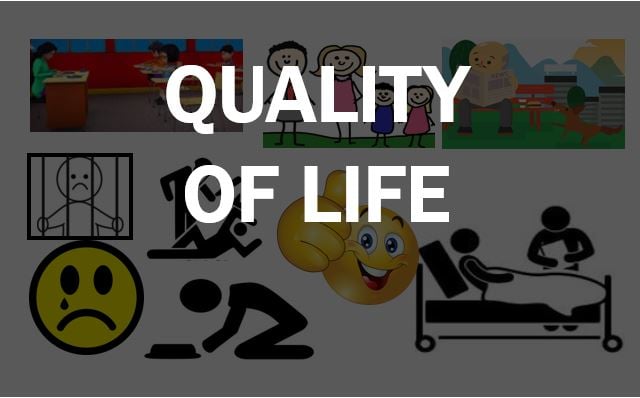 Quality Of Life Definition Geography