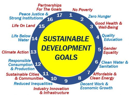 Seventeen Sustainable Develpment Goals