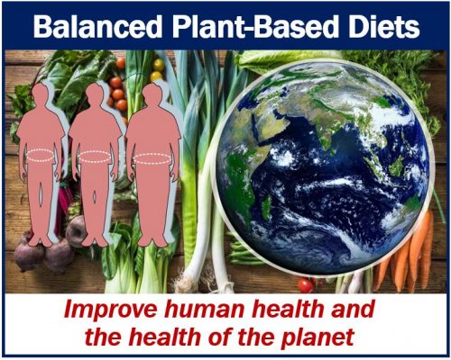 Some diets help both human and Earth health