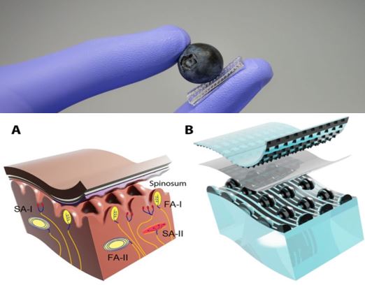 Electronic glove article thumbnail