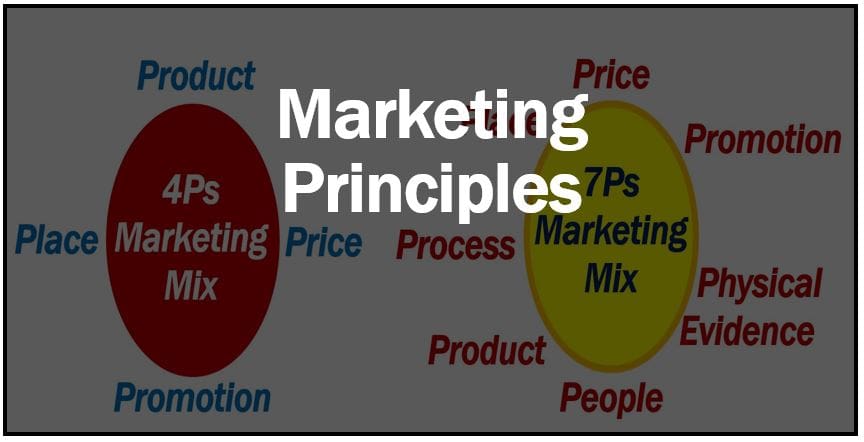 What are marketing principles? Definition and examples